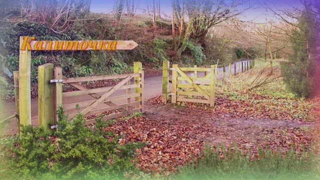 Николай Берег – Калиточка смотреть онлайн