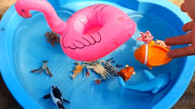 Изучаем названия животных для детей. Краб, акула, зоопарк, тигр, лев, слон, утка, лошадь, акула смотреть онлайн