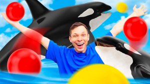 Игры для детей - как живут животные в воде?! - Видео про игрушки Collecta