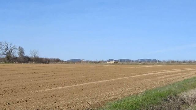 VlogHerping#32 Une couleuvre de Montpellier au bord de la route!! смотреть онлайн