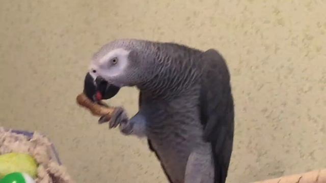 Наша кукуша смотреть онлайн