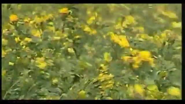 Способи заготівлі кормів смотреть онлайн
