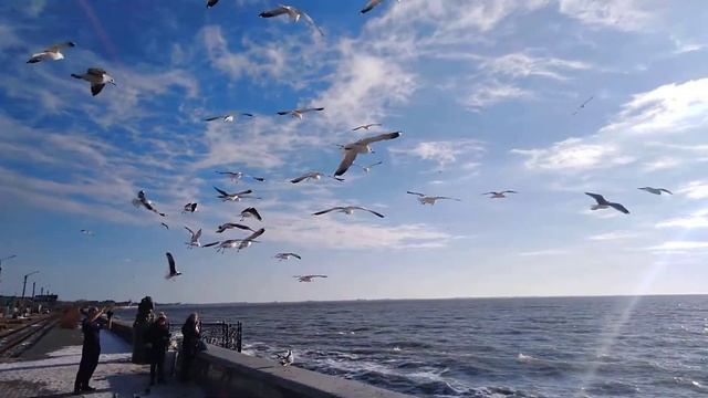 VID 20190118 133659 смотреть онлайн