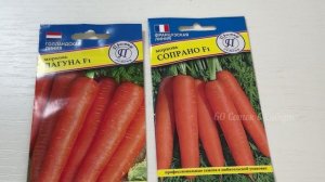 ТОЛЬКО Эти СОРТА МОРКОВИ ПОСАЖУ В 2025 году, урожайные, сладкие, не трескается, хранится долго