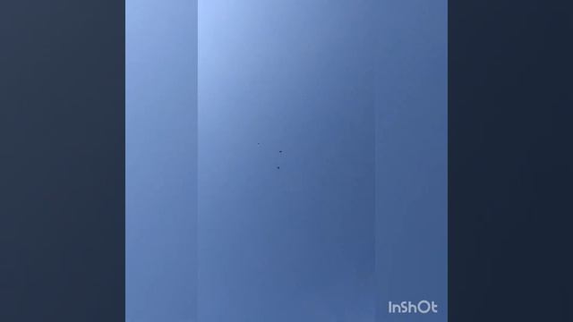 торцовые голуби Дудкина.С.Г. полёт на Вербной неделе. 10.04.2023. смотреть онлайн