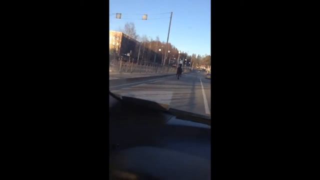 Куда скачет лошадь? смотреть онлайн