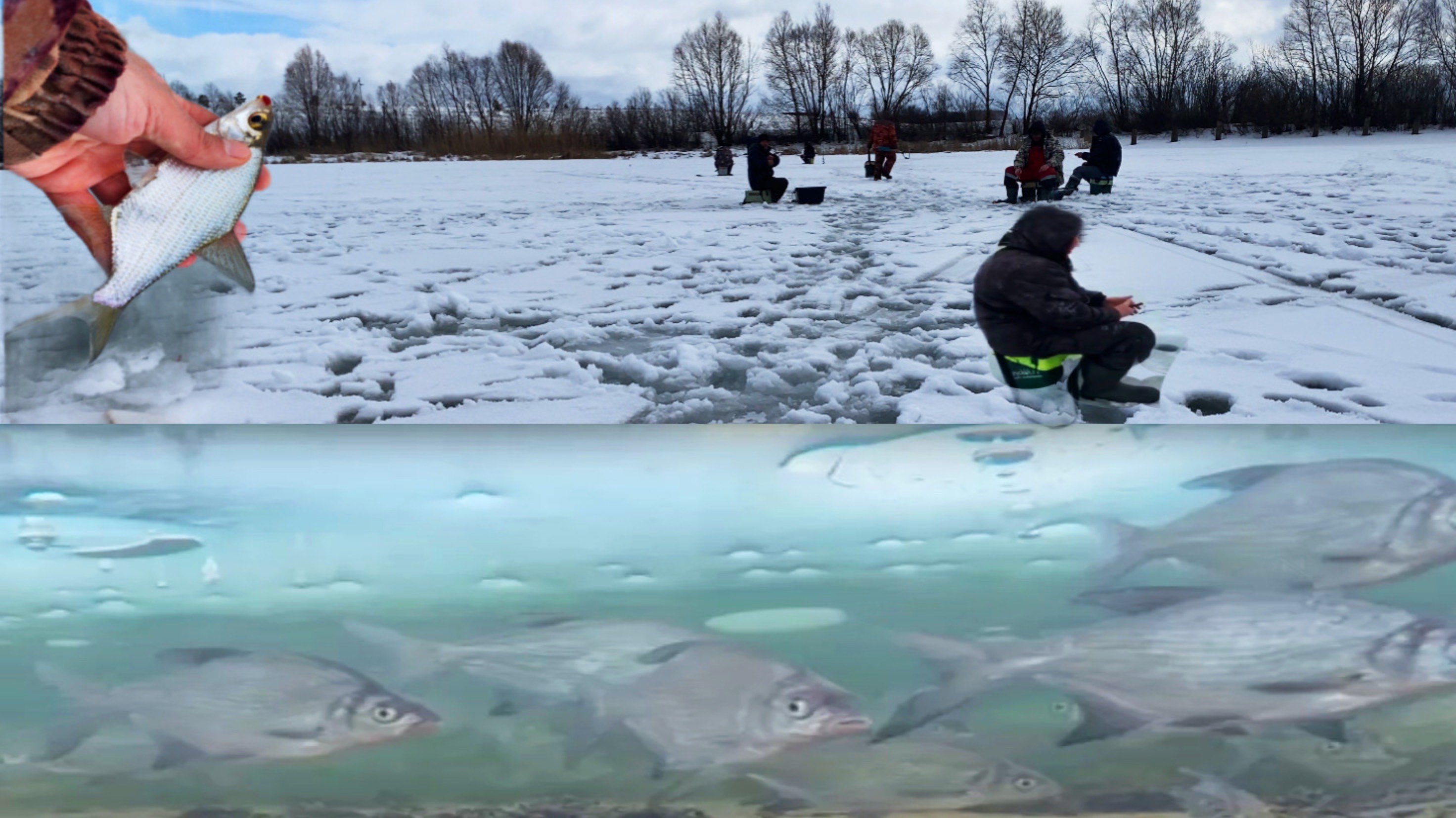 ОПУСТИЛ КАМЕРУ А ТАМ СТЕНА ИЗ РЫБЫ!!РЫБАКИ ТОЛПАМИ БЕГАЮТ ЗА РЫБОЙ!Рыбалка в МАРТЕ на ГУСТЕРУ!! смотреть онлайн