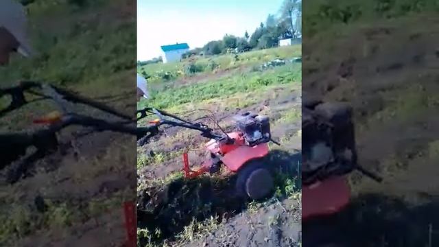 Распашка картошки