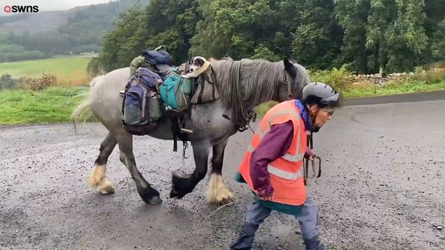 80-year-old woman completes annual 600-mile trek with her pony and dog | SWNS смотреть онлайн