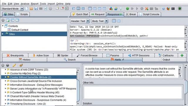 Application Inspection Tool - Zed Attack Proxy смотреть онлайн