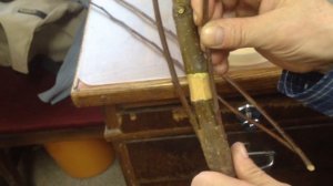 Методы прививки. Урок 4. Прививка мостиком.