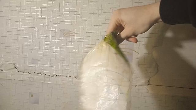 1000113371 смотреть онлайн