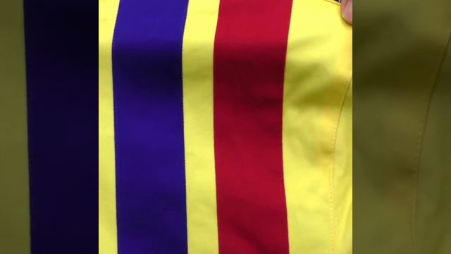 Modshoes 66 Rally Jacket Limited Edition Yellow