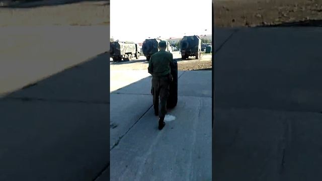 Армейский муравей смотреть онлайн