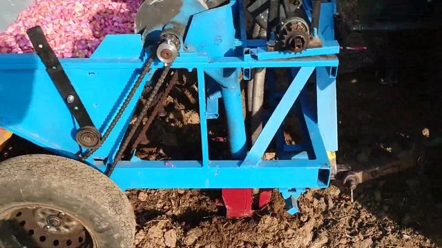 Посадка чеснока сорта Любаша трактором Белорус 82.1 и трёхрядной навесной сажалкой. смотреть онлайн