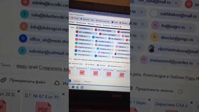 Райсоведъ край Ставрополь район Кочубей оповещение эл почтой чужеродные структуры 5ч смотреть онлайн