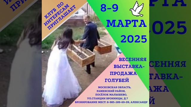 8-9 Марта Состоится Весенняя Сборная ст. Бронницы, продажа Голубей и Сельз Птицы 👍👍👍 смотреть онлайн