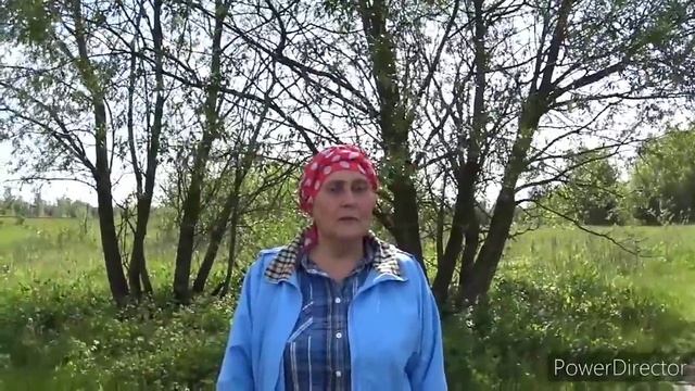 У меня уже не та фигура или готовимся к посадке на огороде.Vlog.Брест смотреть онлайн