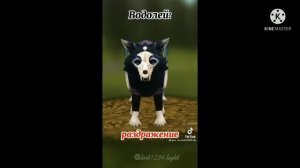 подборка из тик тока WildCraft