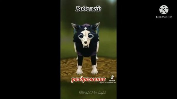 подборка из тик тока WildCraft
