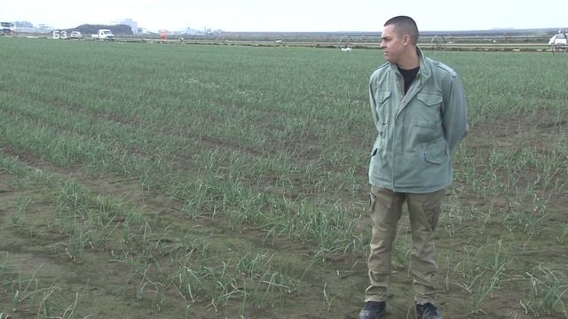 NAJRANIJI LUK U SRBIJI - mladi povrtar očitao lekciju starijima kako se radi ! смотреть онлайн