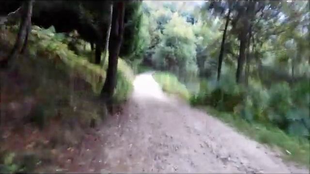 Test NEW SALSA CUTTHROAT 2016