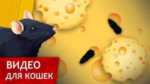 Видео для кошек - Крысы и Сыр (Развлеки своего кота)