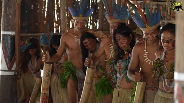 Visiting the Indigenous village during the Amazon trip. смотреть онлайн