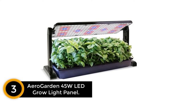 Best Grow Lights of 2024 смотреть онлайн