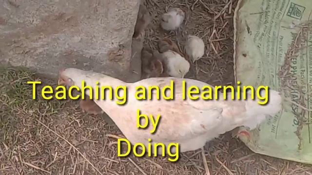 teaching and learning by doing | teaching method | smart teaching methods | best method of teaching смотреть онлайн
