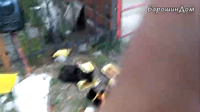 С 26 сентября по сегодняшний обед. В гостях у Наташи, Большие мусорные баки посреди парка смотреть онлайн