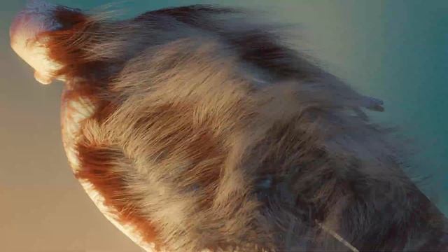 Things that fly in the wind|Blender Cloth and Hair Particles(Abstract)|Blender 2.82a смотреть онлайн