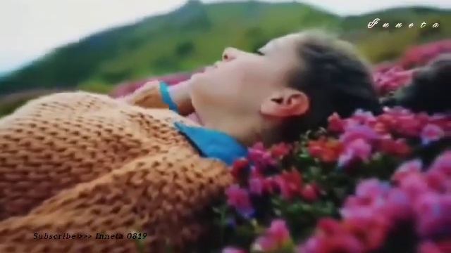 'У Иннэт - Червону руту.. /version/ Dem Merk 14 /_ смотреть онлайн
