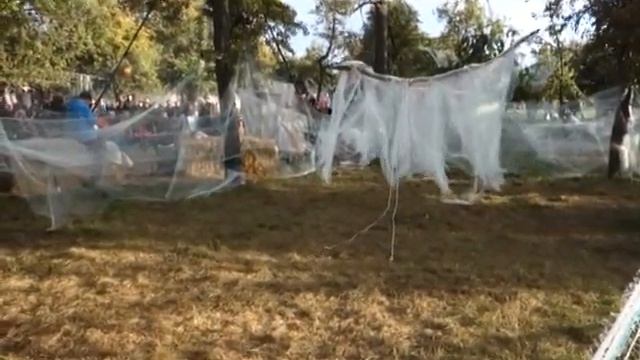 Magische Webspinne, Araña Mágica, Muriel & Cesar