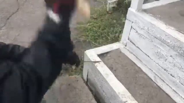 стр.1005, Рубка металла саперной лопаткой смотреть онлайн