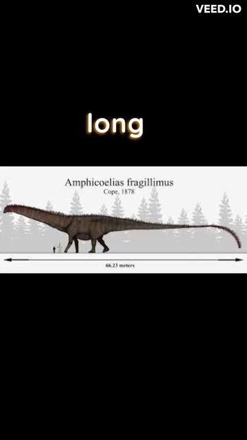 Interesting videos about thePredatory dinosaurs part 1 смотреть онлайн