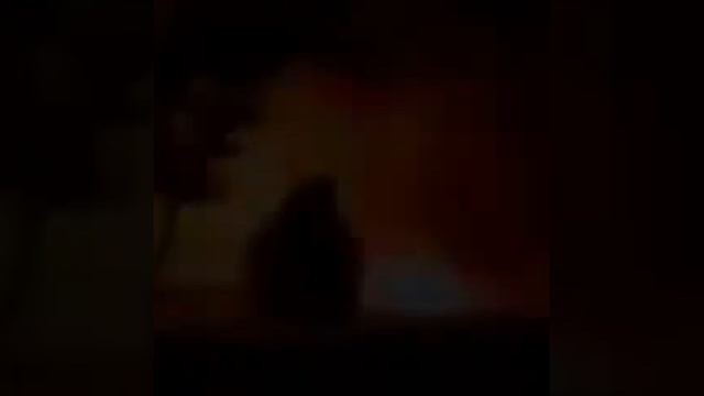 Лошади смотреть онлайн