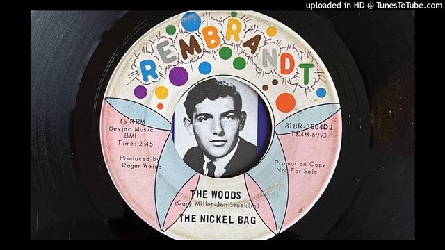 The Nickel Bag - The Woods (Rembrandt) 1966 смотреть онлайн