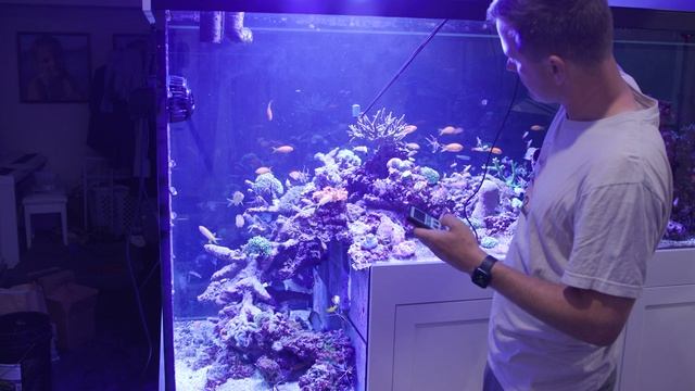DEEPER LOOK - RADION G6 LEDs, PAR Readings - Mr Saltwater Tank -Raw, Uncut & First Impressions смотреть онлайн
