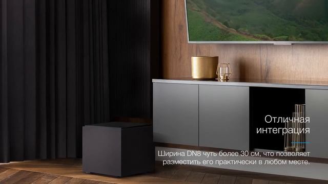 Aктивный сабвуфер Definitive Technology DN8 смотреть онлайн