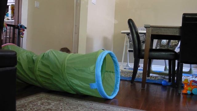 Ewan and Patrick have fun with the Ikea Tunnel. смотреть онлайн