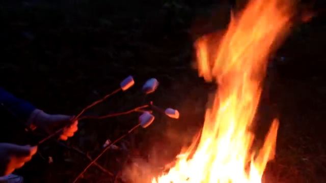 девочки лес пламенный свет, эй смотреть онлайн