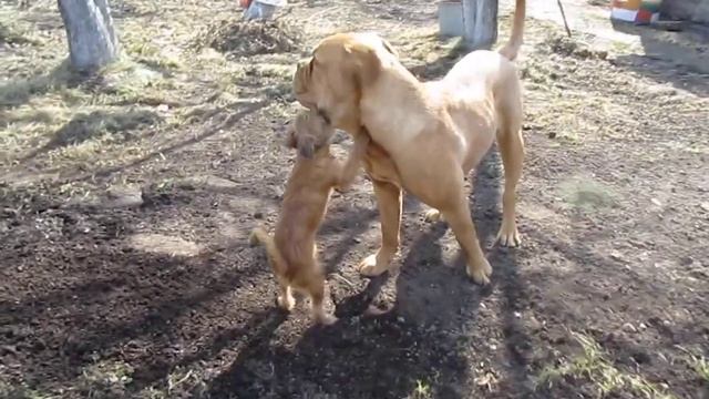 18 апреля 004 смотреть онлайн