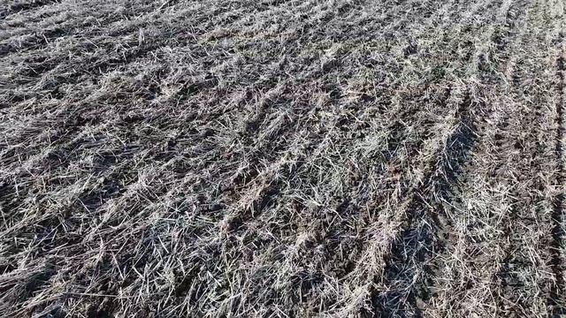 Посів сої на полі № 1 в системі но-тілл смотреть онлайн