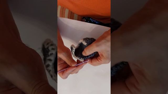 Тапочки из остатков пряжи. Тапочки крючком. Уроки вязания. смотреть онлайн