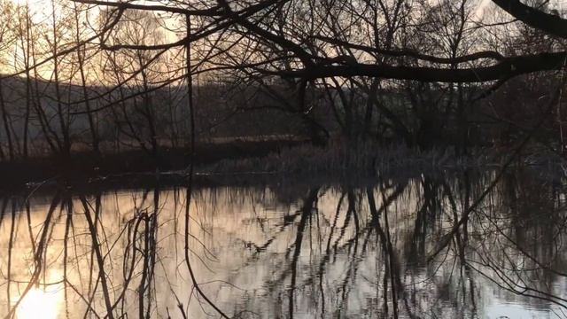 птички поют! смотреть онлайн