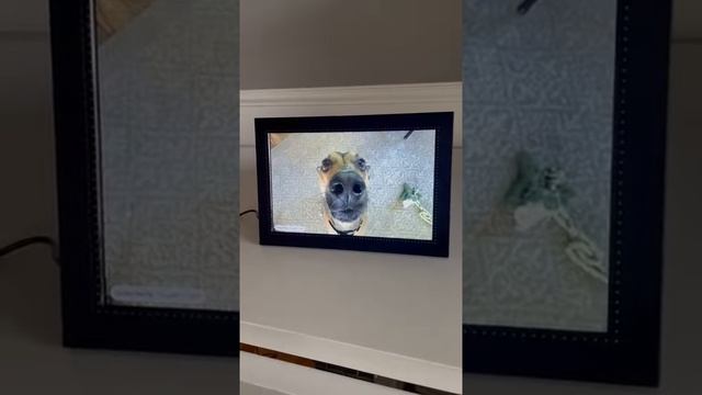 Frameo Digital Photo Frame 10.1 inch WiFi Digital Picture Frame Review смотреть онлайн