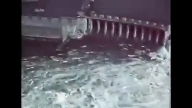 Автор: Daniel Rodriguez смотреть онлайн