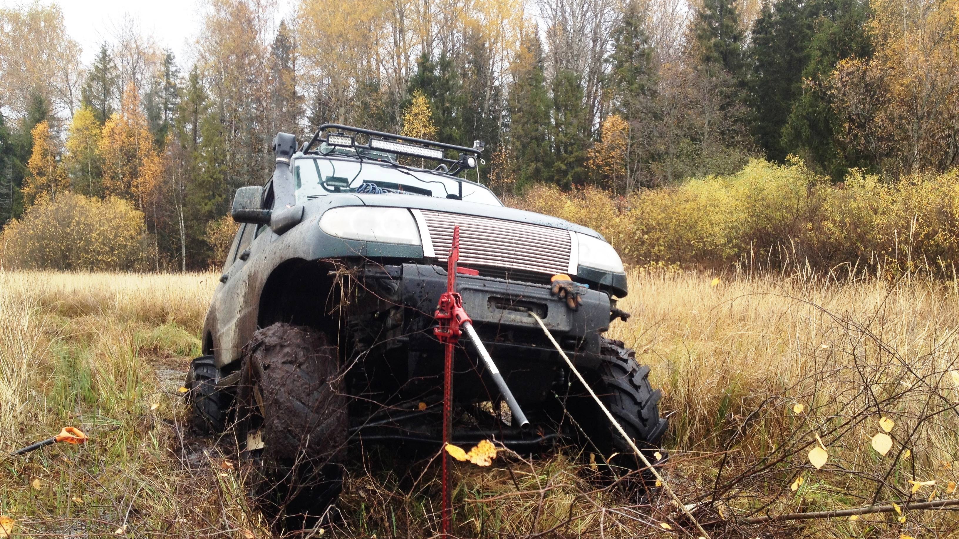 Проводы журавлей осенью. Застрял на болоте.Один в ночном лесу.