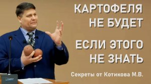 Как получить большой урожай картофеля? Разбираем ошибки и лучшие сорта!